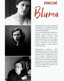 rivista Professional Organizer BLUMA